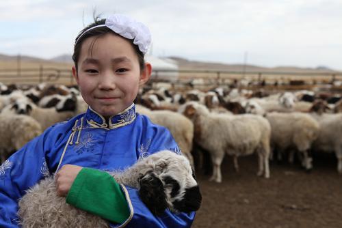 Red Cross Darkhan